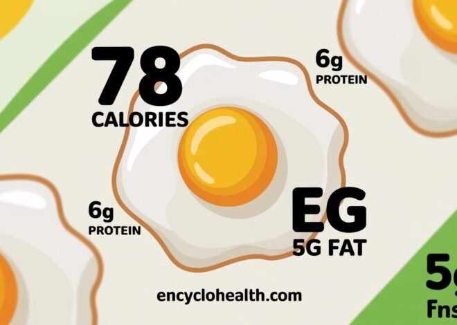 Discover How Many Calories in a Fried Egg: Complete Guide 2026