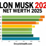 Elon Musk Net Worth 2025