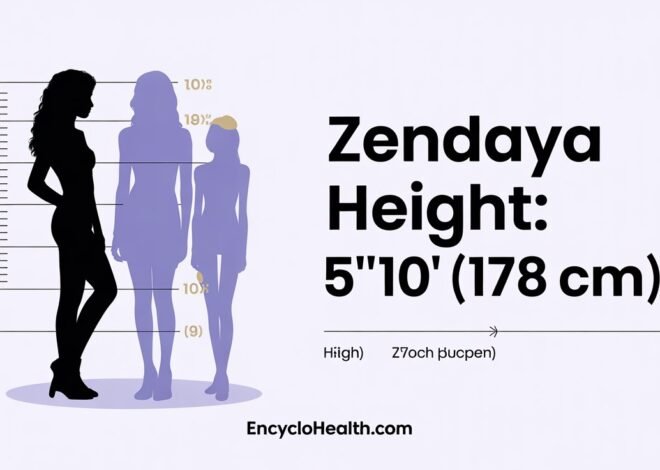 Zendaya Height: The Truth Behind Hollywood’s Stunning Star